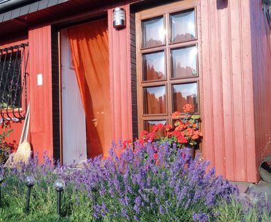 Traumhafte Ruhe – Nähe Naturschutzgebiet, Reiheneckhaus in DO-Eving zu verkaufen!