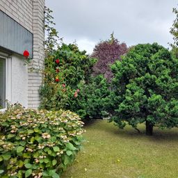 Mehr-Generationen-Haus oder Wohnen und Arbeiten unter einem Dach