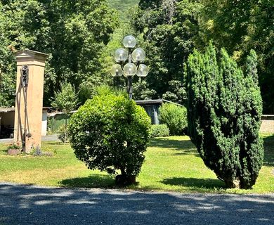 Blick in den Garten