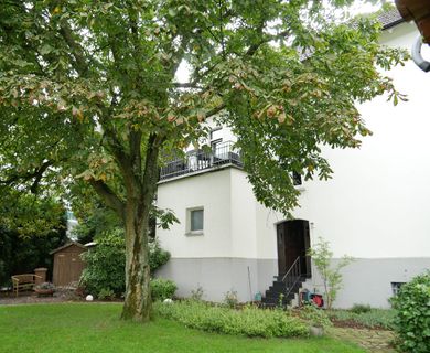 Alter Baumbestand