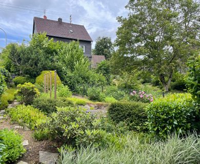 kleiner Garten