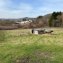 Baugrundstück in schöner Lage zwischen Wissen und Hamm/Sieg!