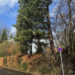 Neubauvorhaben Mettmann – Metzkausen
1 Familienhaus / Villa