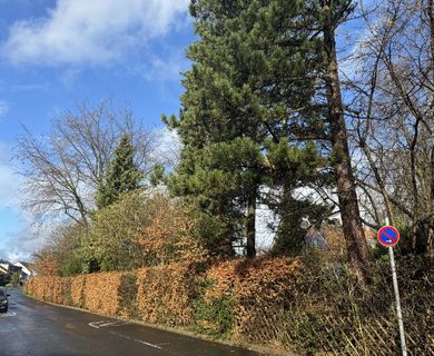 Neubauvorhaben Mettmann – Metzkausen
1 Familienhaus / Villa