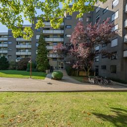 Exklusives Wohngefühl mit Weitblick und direktem Naturzugang am Schmölderpark