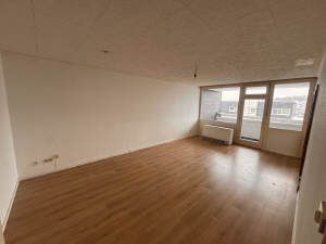 Ideal für Singles! Ansprechende 2-Zimmer-Wohnung mit Balkon und guter Verkehrsanbindung
