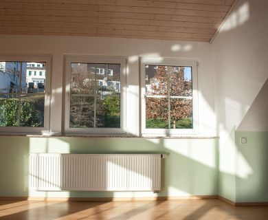 Blick in den Garten