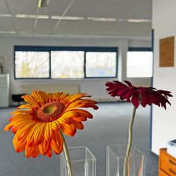 432 m² großer Bürokomplex im Gewerbegebiet, auch für Bürogemeinschaften- Ab sofort zur Miete!