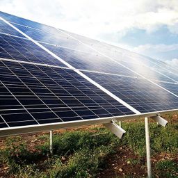 Rheinland-Pfalz führt Solarpflicht für öffentliche Neubauten ein