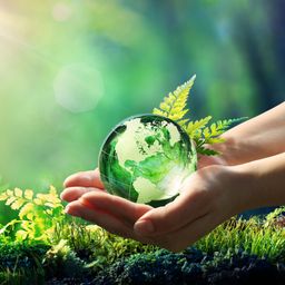 Wärmepumpe ist erste Wahl – Mehrheit der Deutschen will erneuerbar heizen