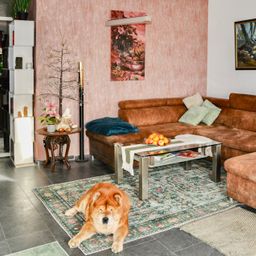 Ideal für Kapitalanleger: Langjährig vermietete 2 ZKB-Eigentumswohnung mit TG-Stellplatz!