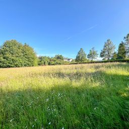 Bauplatz für ein Ein- oder Zweifamilienhaus! Nur 4 km von Hachenburg entfernt.