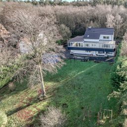 Großzügig Wohnen mit Weitblick und direkter Waldlage